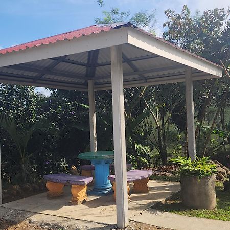 Cabinas El Pilon Rio Celeste エクステリア 写真