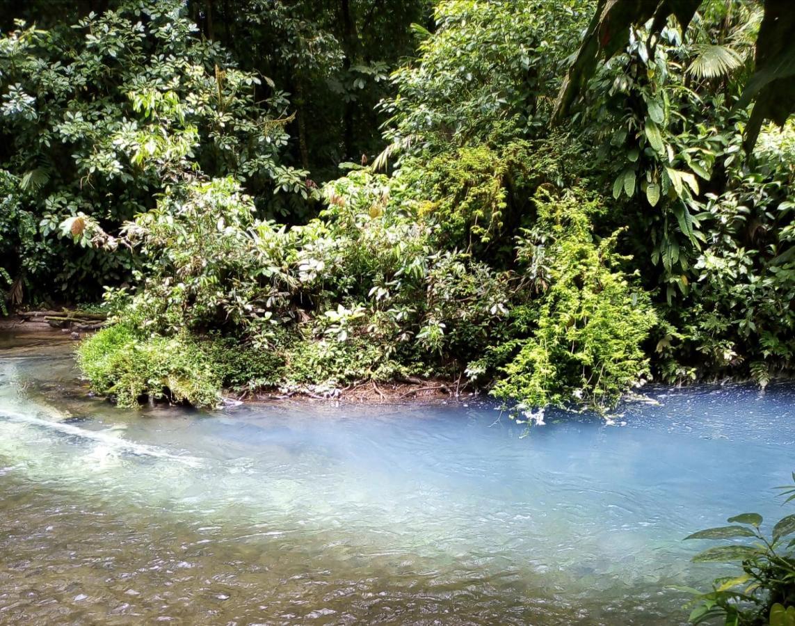 Cabinas El Pilon Rio Celeste エクステリア 写真
