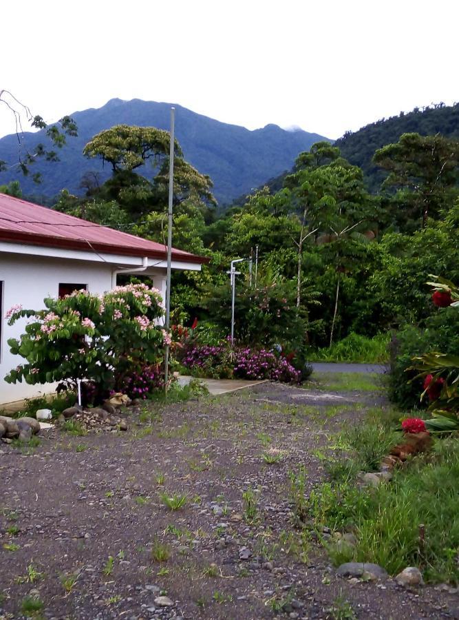 Cabinas El Pilon Rio Celeste エクステリア 写真