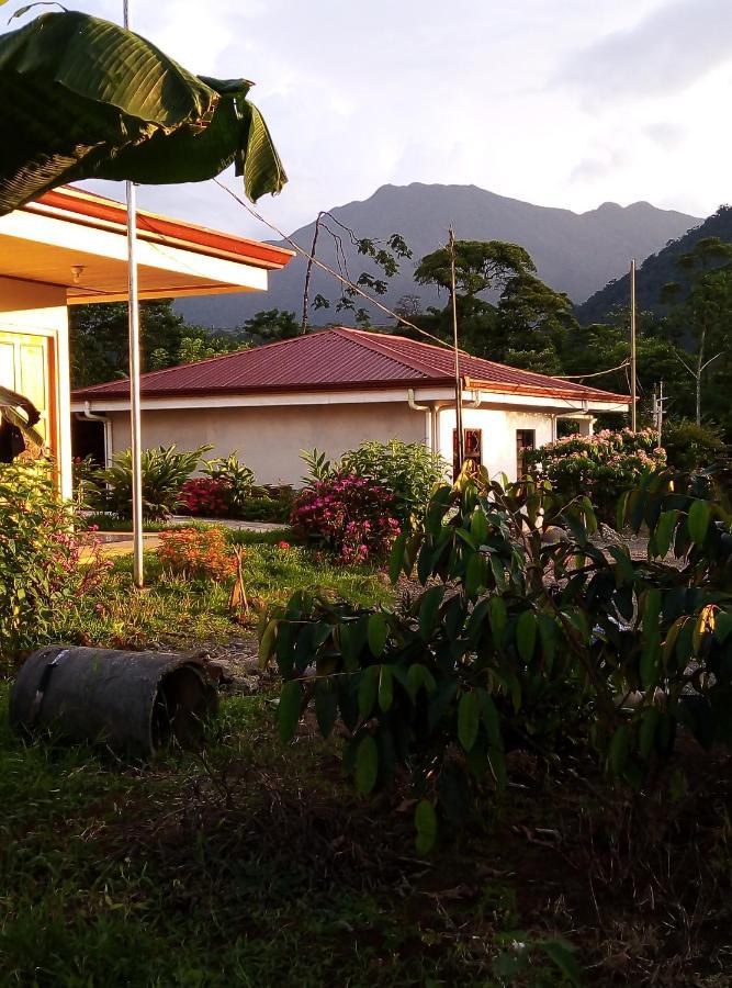 Cabinas El Pilon Rio Celeste エクステリア 写真