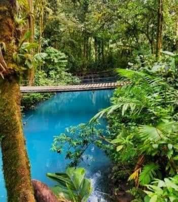 Cabinas El Pilon Rio Celeste エクステリア 写真