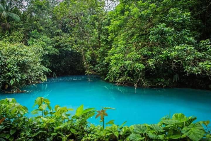 Cabinas El Pilon Rio Celeste エクステリア 写真