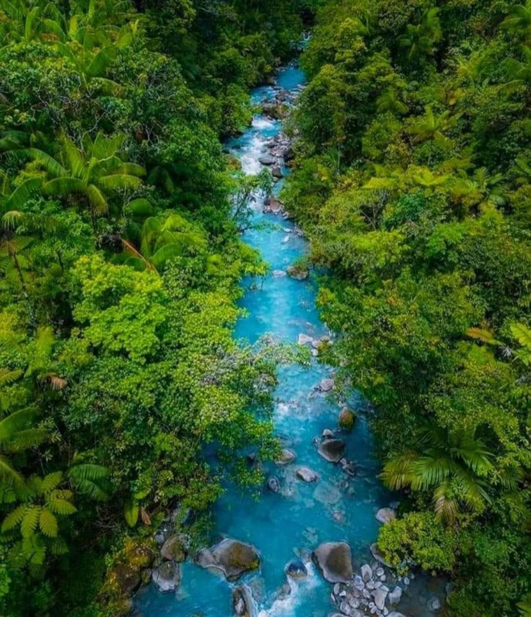 Cabinas El Pilon Rio Celeste エクステリア 写真