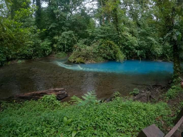 Cabinas El Pilon Rio Celeste エクステリア 写真
