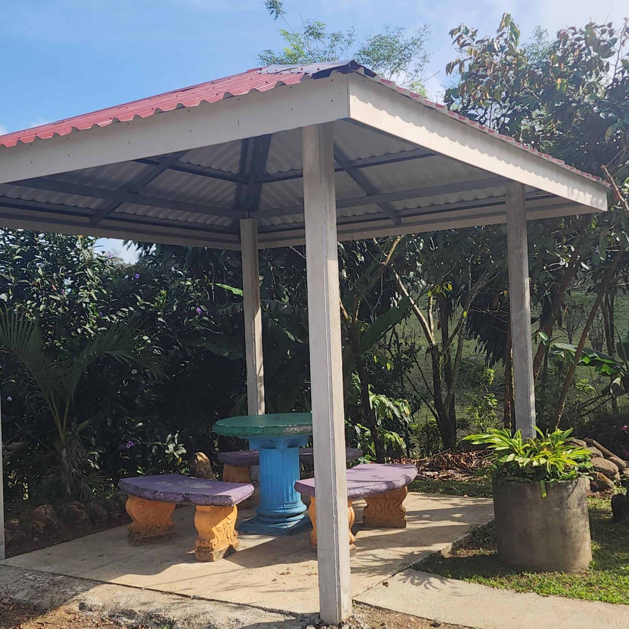 Cabinas El Pilon Rio Celeste エクステリア 写真